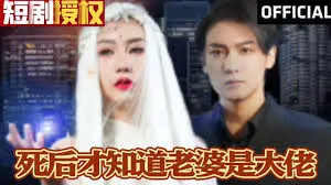 《死后才知道老婆是大佬》：逆袭爽文！死后才知老婆是隐藏大佬