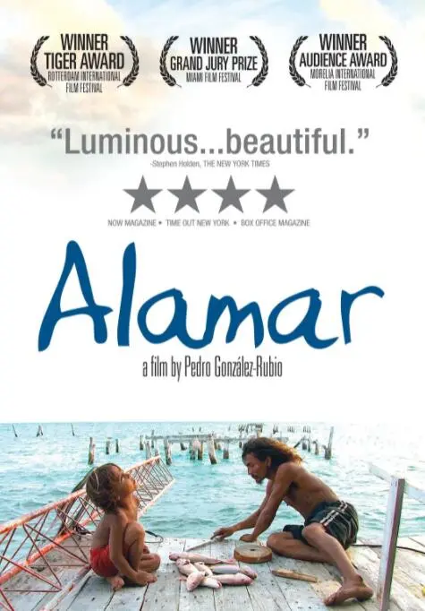 《拥抱大海》：国产动画的又一力作？探索人与自然的和谐共生！