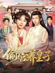 揭秘《偷宫养皇子》：宫廷阴谋的惊心养子传奇与权力较量