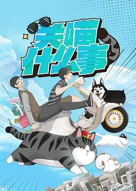 《关喵什么事》：一场跨越时空的爱恋？萌宠奇遇记，还是隐藏着古老的秘密？